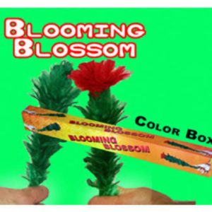 BLOOMING BLOSSOM FEATHER MAGIC.