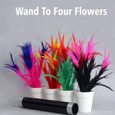 wand to 4 flower on pot