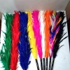 Jumbo Color Changing Feather Plumes / 9 Color Feather (Good Quality) 5 9 color feather 2
