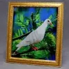 Dove Bird Frame
