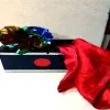 Miracle Zeb Box Magic / A production Box Magic. 5 production Box Magic.