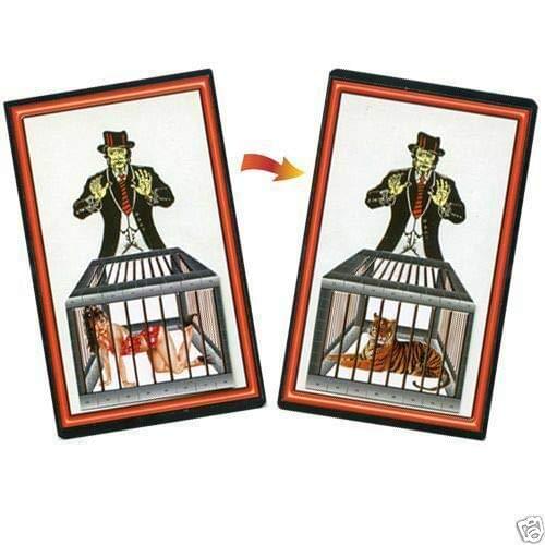 Lady To Tiger Transform 4