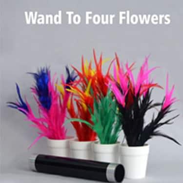 Wand to 4 flower on pot 4 wand to 4 flower on pot